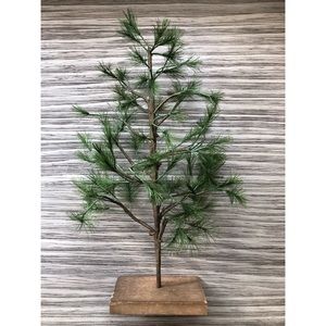 Small Pine Tree